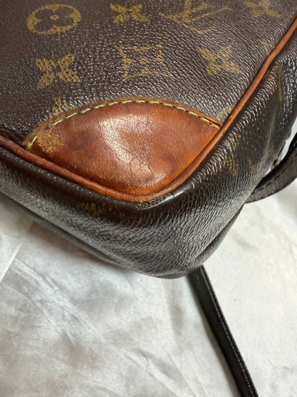 Louis Vuitton Monogram Amazon Sling Crossbody