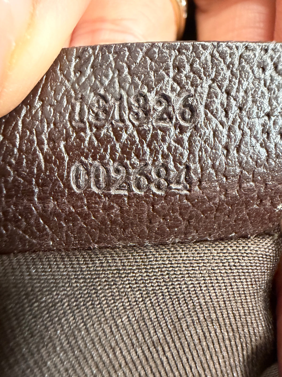 Gucci Monogram Canvas Anbey Sling Crossbody