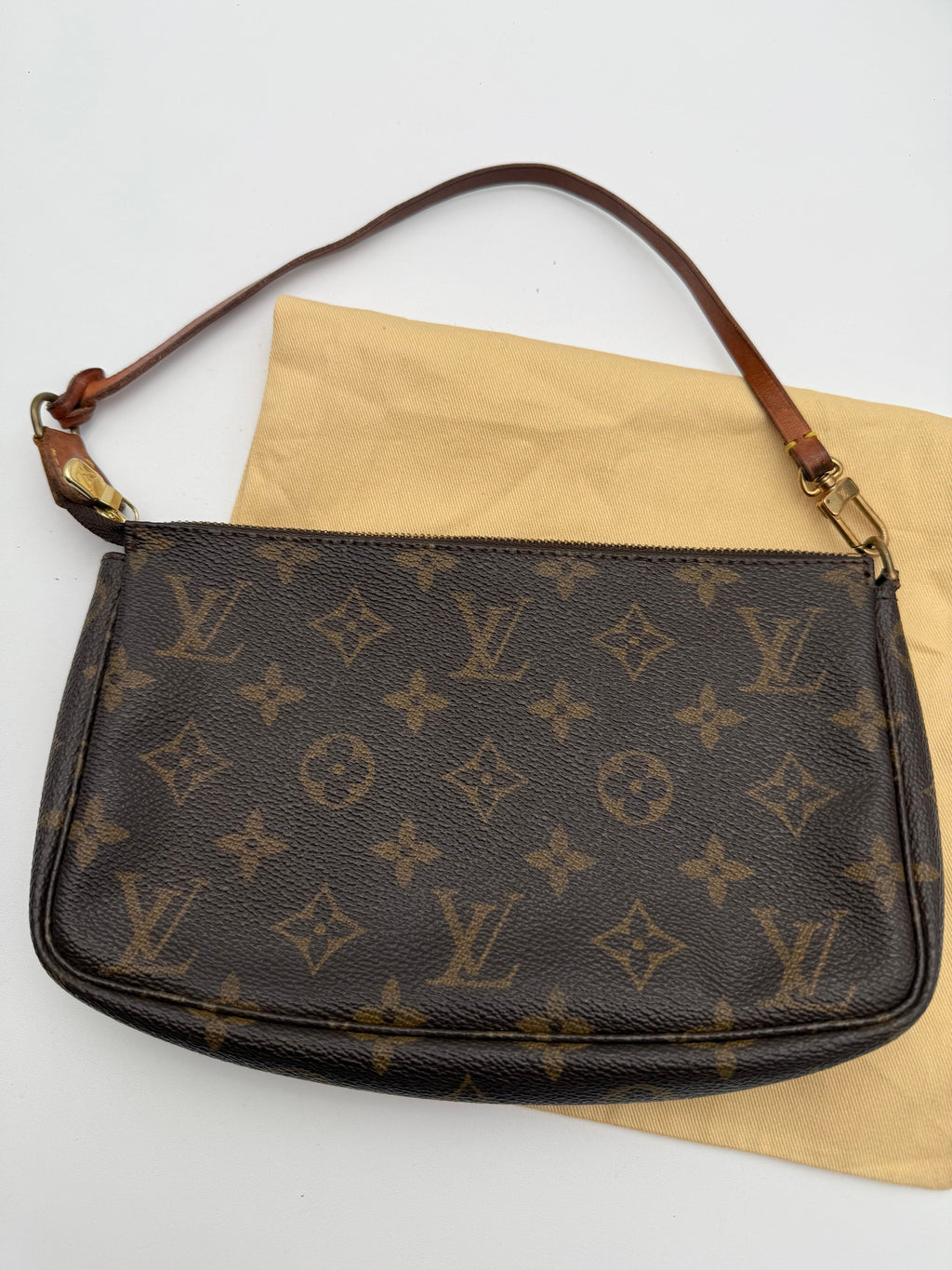Louis Vuitton Pochette Monogram Accesories