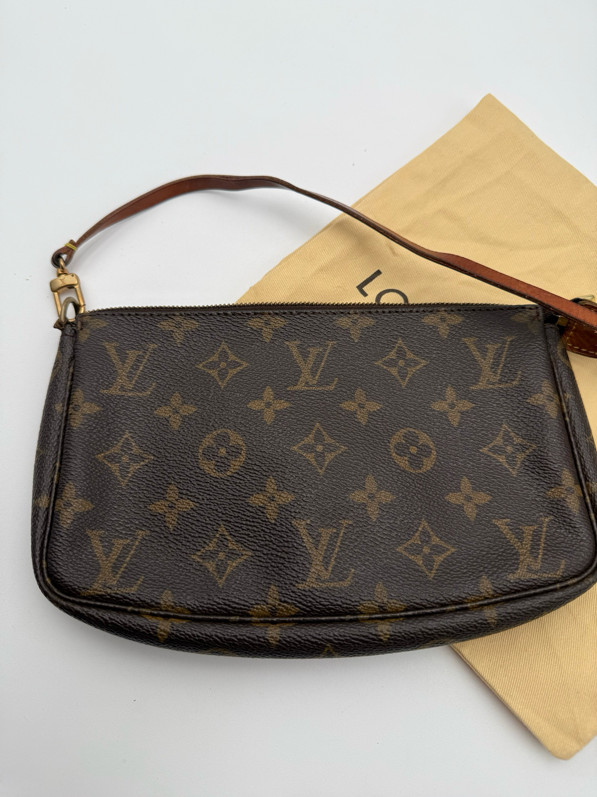 Louis Vuitton Pochette Monogram Accesories