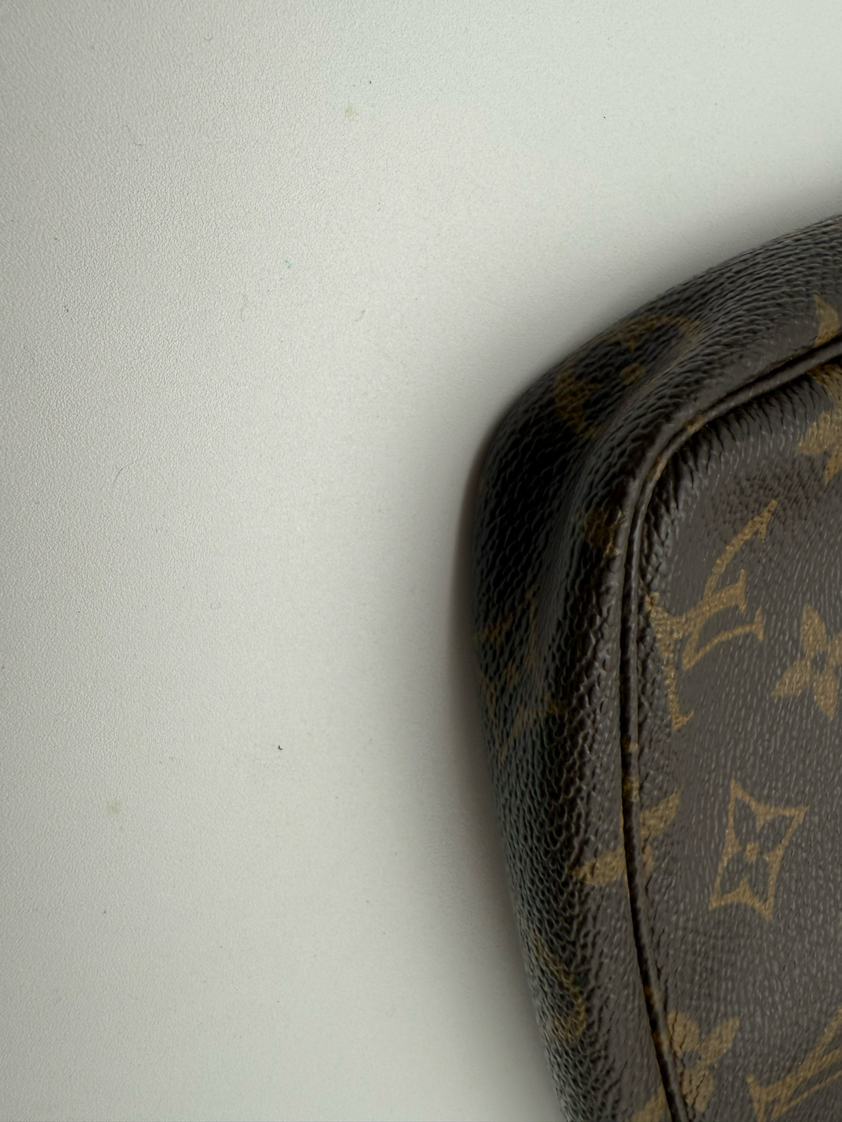 Louis Vuitton Pochette Monogram Accesories