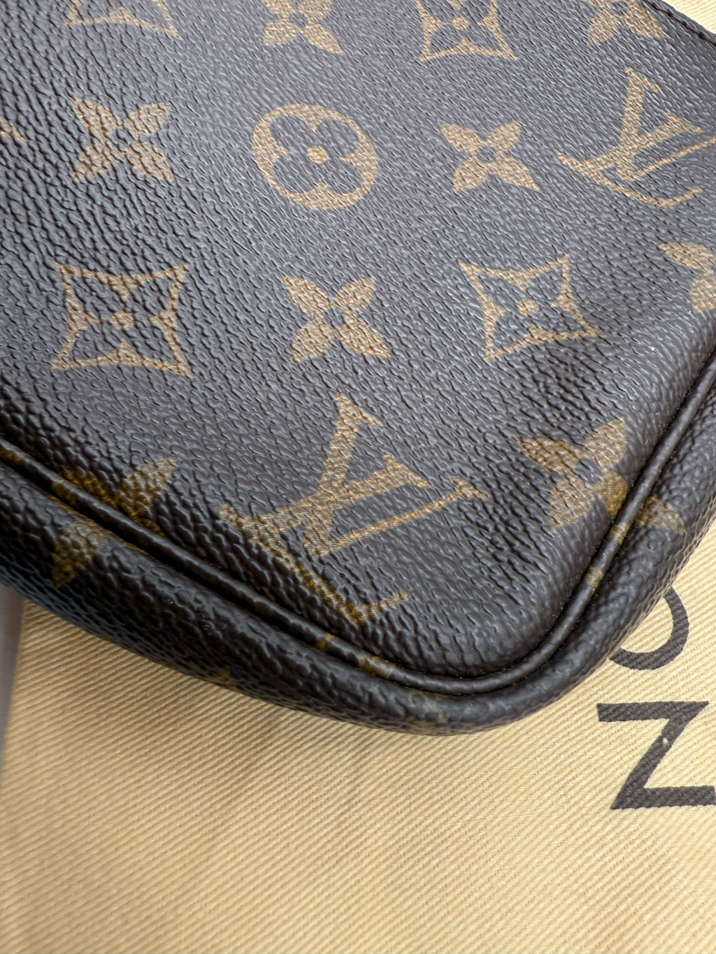 Louis Vuitton Pochette Monogram Accesories