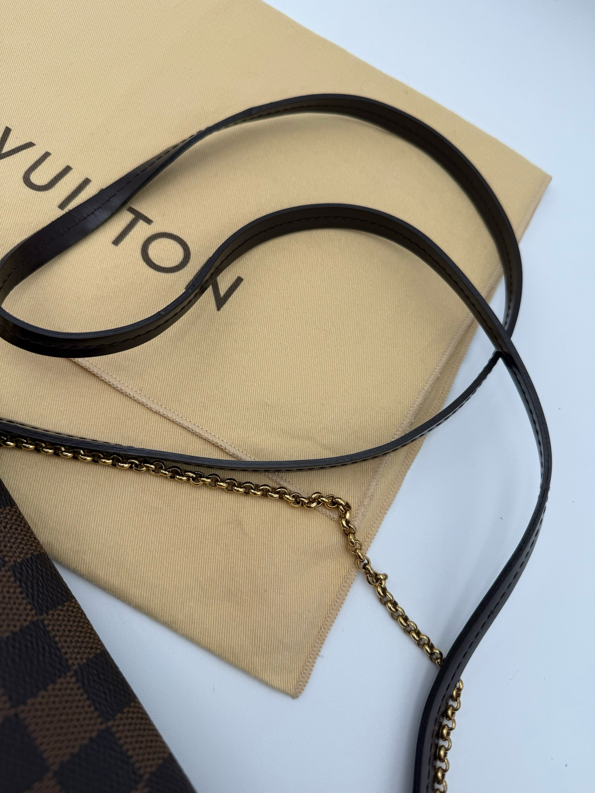 Louis Vuitton Damier Ebene Favorite Mm Flap
