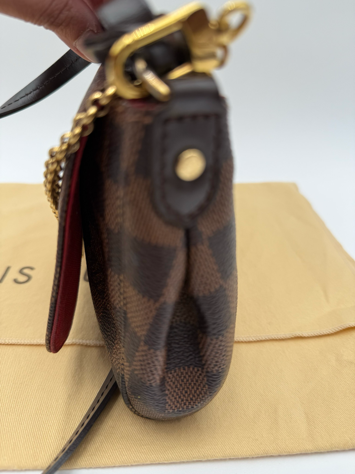 Louis Vuitton Damier Ebene Favorite Mm Flap