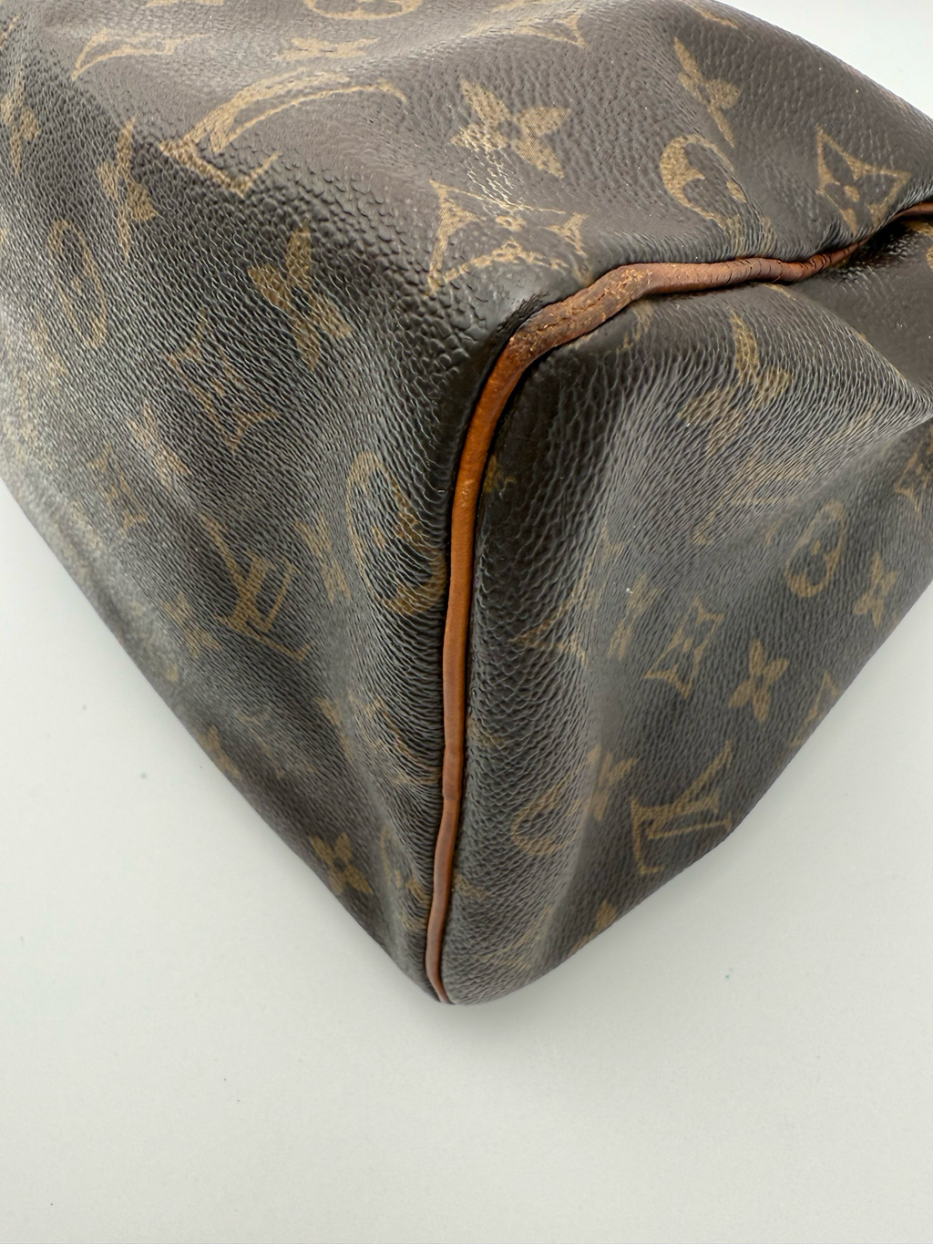Louis Vuitton Speedy 25 Monogram