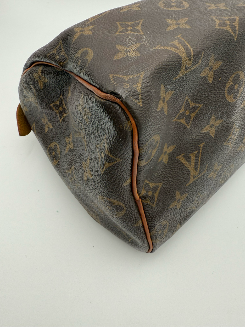 Louis Vuitton Speedy 25 Monogram