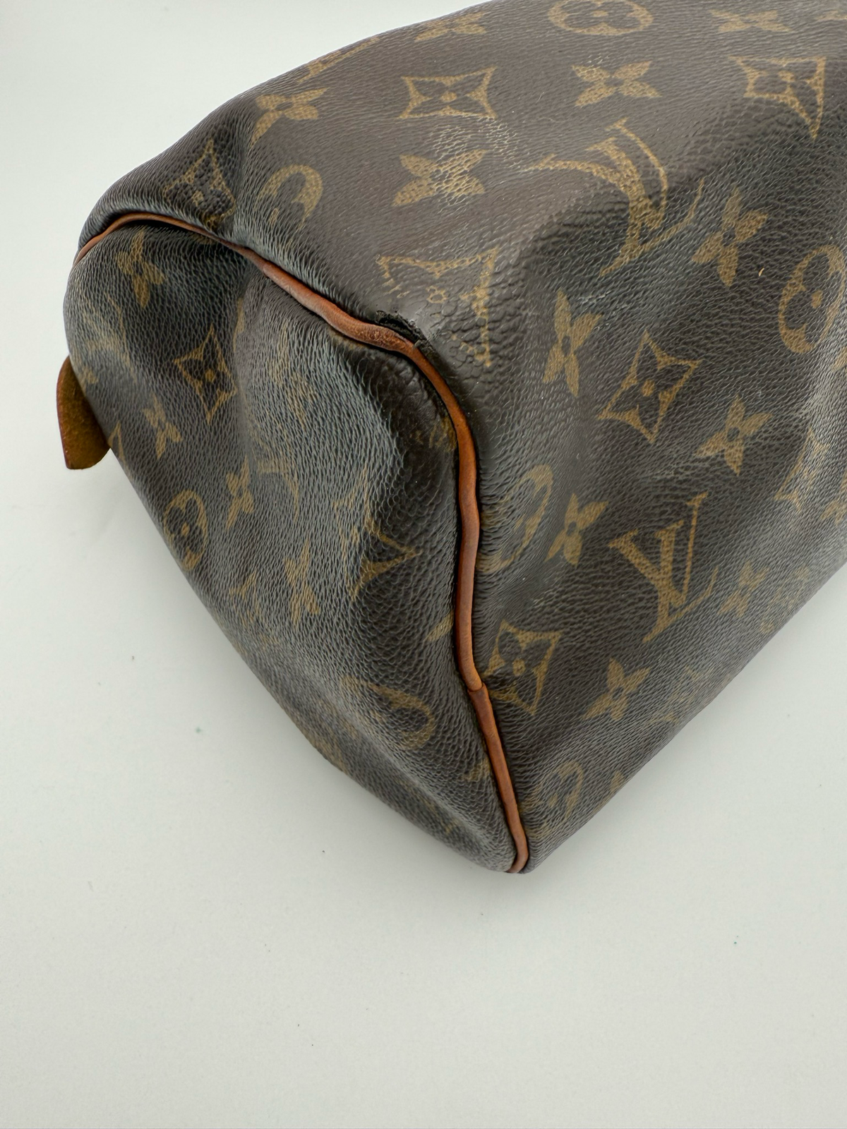 Louis Vuitton Speedy 25 Monogram