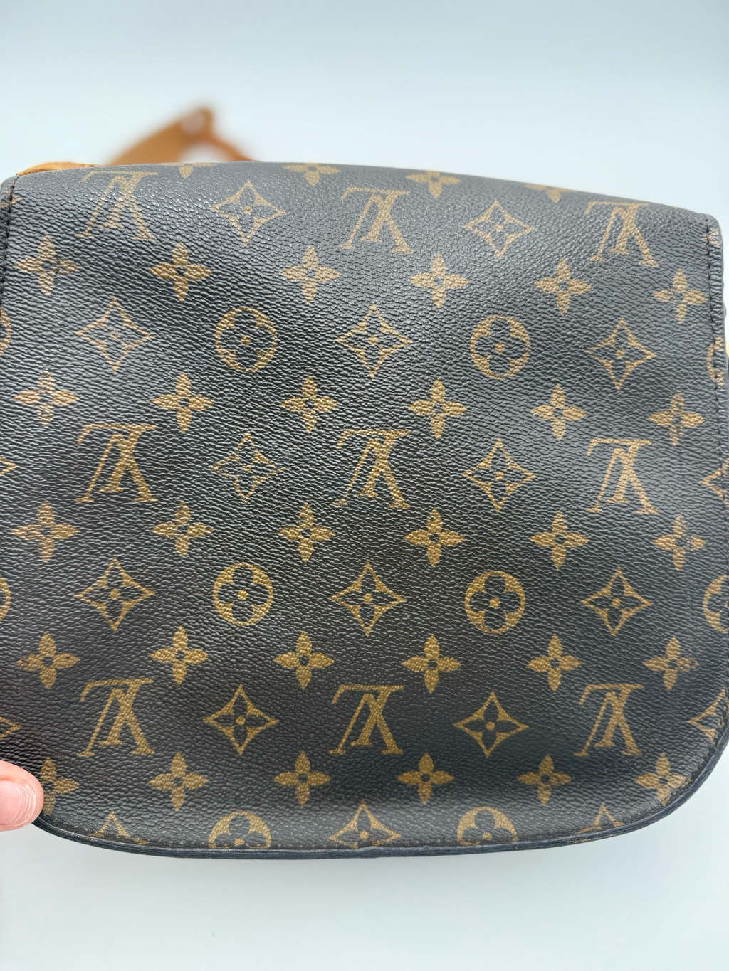 Louis Vuitton Monogram Saint Cloud Gm Messenger Bag
