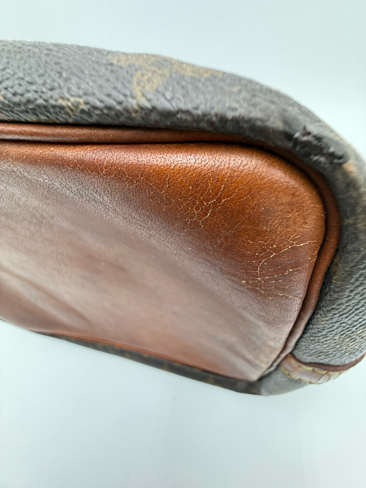 Louis Vuitton Monogram Petit Noe Hobo Shoulder Bag