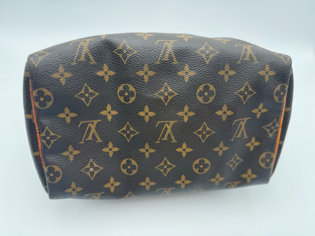 Louis Vuitton Monogram Speedy 25 Satchel Boston