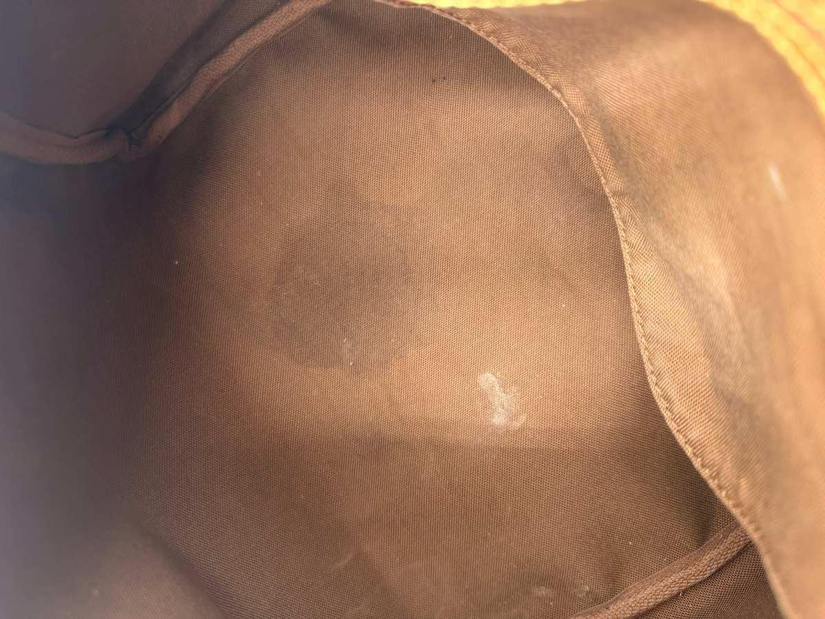 Louis Vuitton Monogram Speedy 25 Satchel Boston