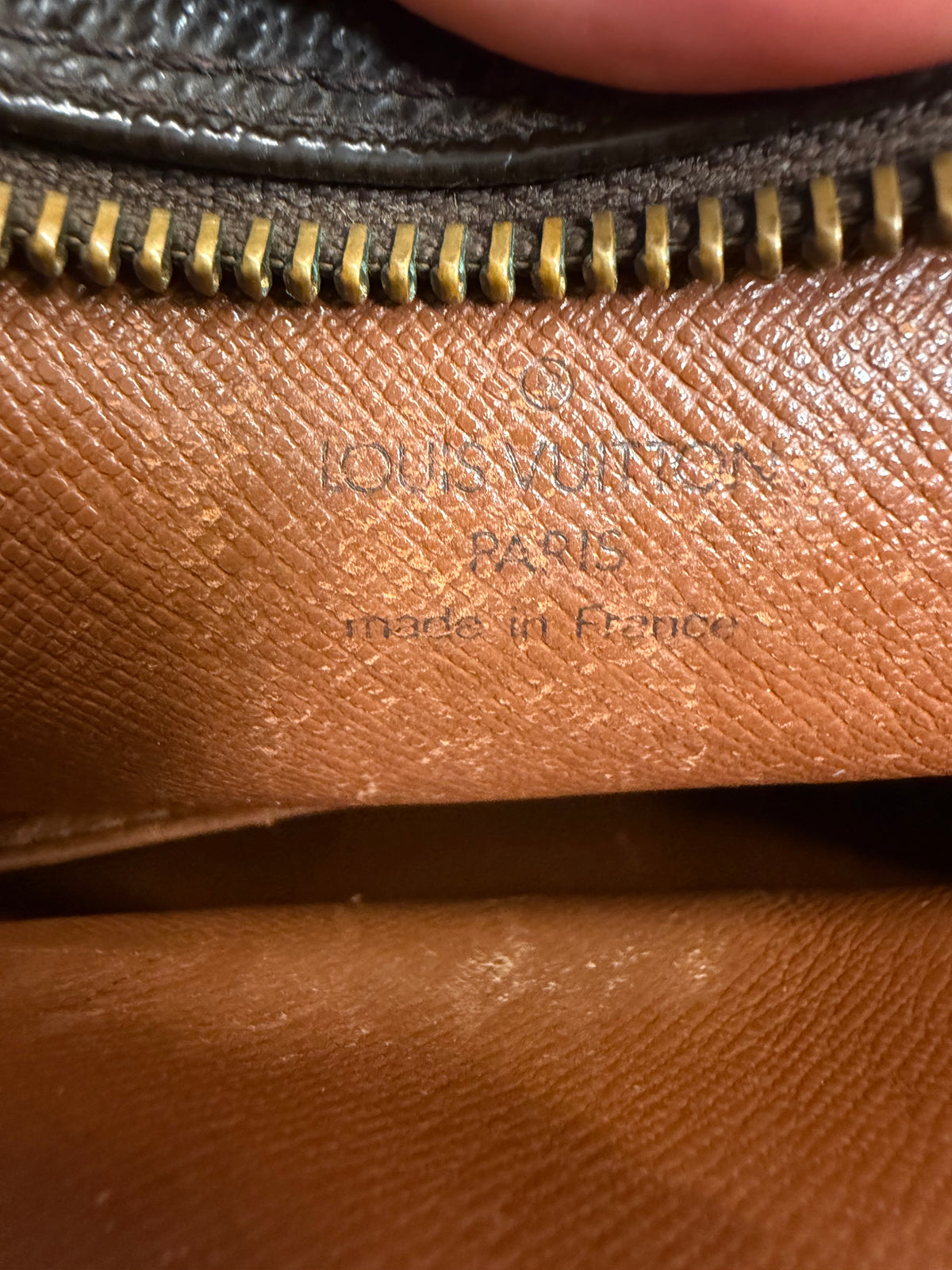 Louis Vuitton Monogram Amazon Sling Crossbody