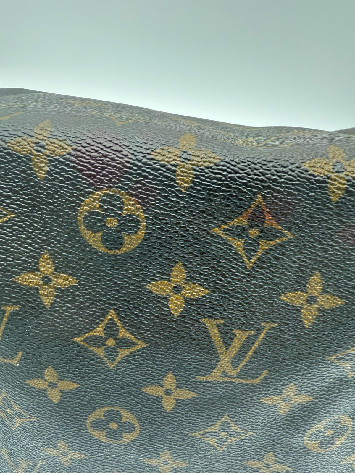 Louis Vuitton Speedy 30 Project