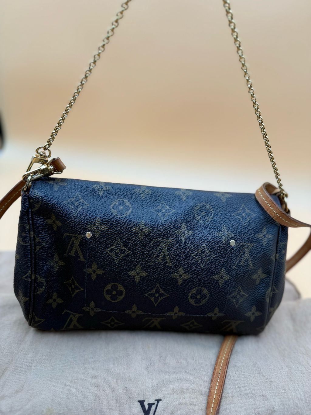 Louis Vuitton Favorite Mm Monogram Crossbody