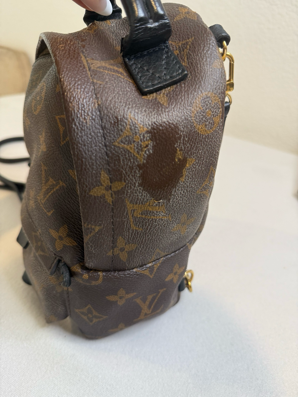 Louis Vuitton Monogram Palm Springs Mini Backpack Sling