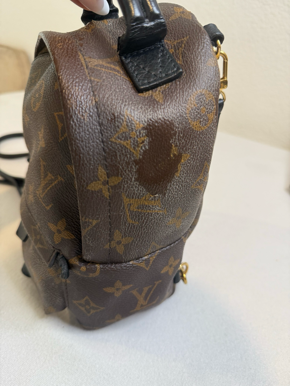 Louis Vuitton Monogram Palm Springs Mini Backpack Sling