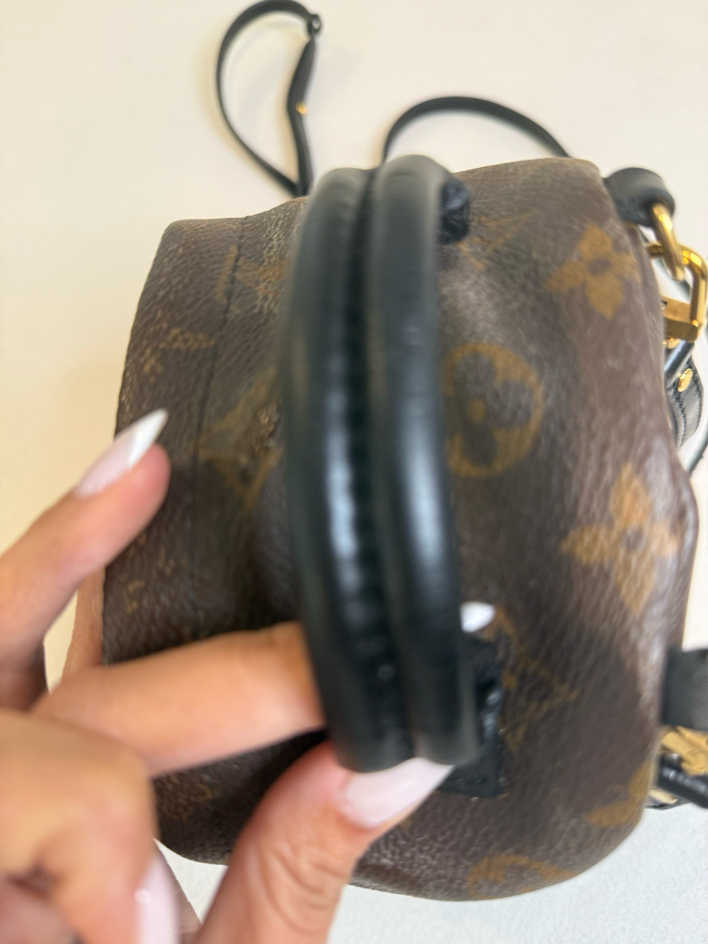 Louis Vuitton Monogram Palm Springs Mini Backpack Sling