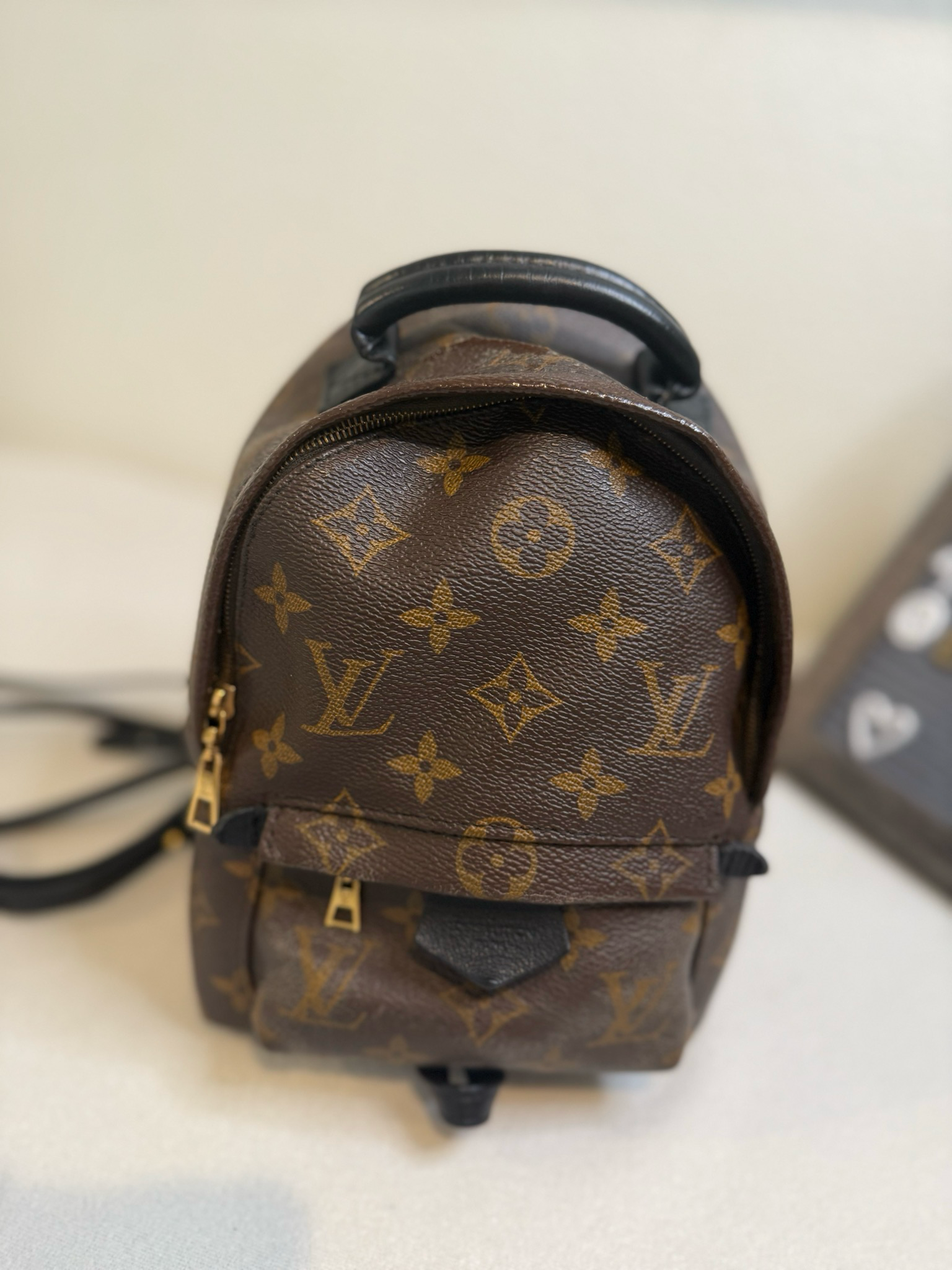 Louis Vuitton Monogram Palm Springs Mini Backpack Sling