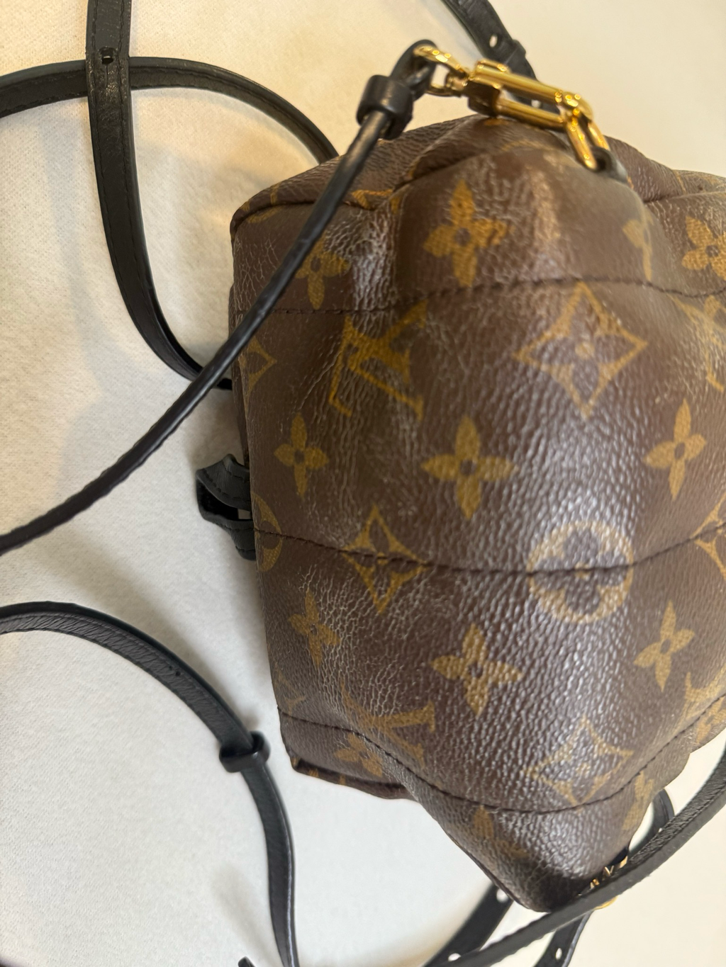 Louis Vuitton Monogram Palm Springs Mini Backpack Sling