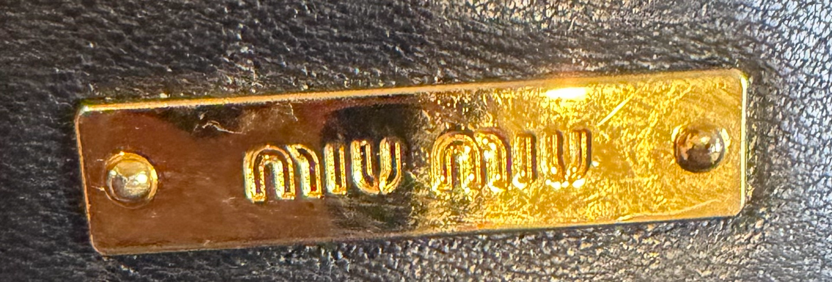 Miu Miu Matelasse Camera Bag Double Zipper Crossbody