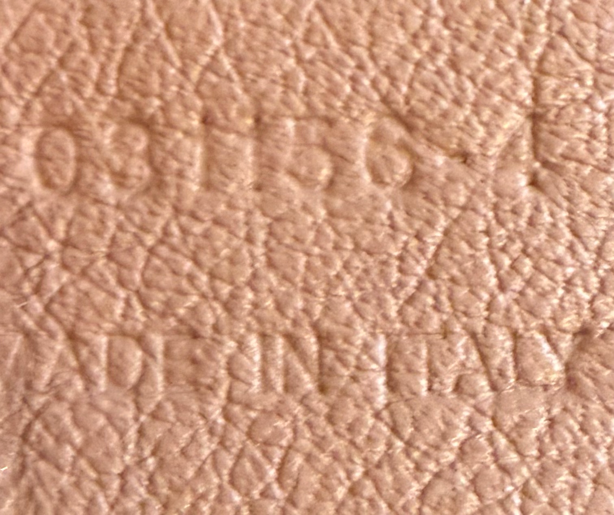 Chloe Marcie Pebbled Leather Medium