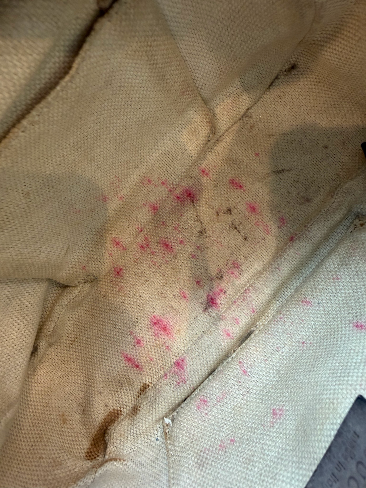 Gucci Soho Disco Camera Bag Nubuck