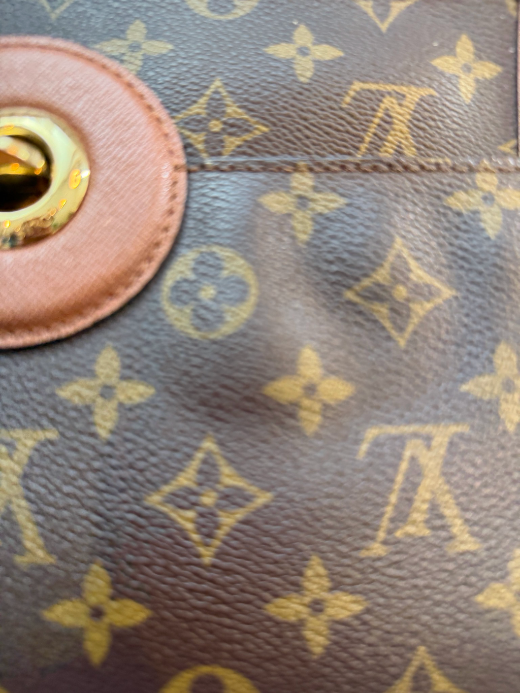 Louis Vuitton Monogram Vintage Raspail Hobo Shoulder