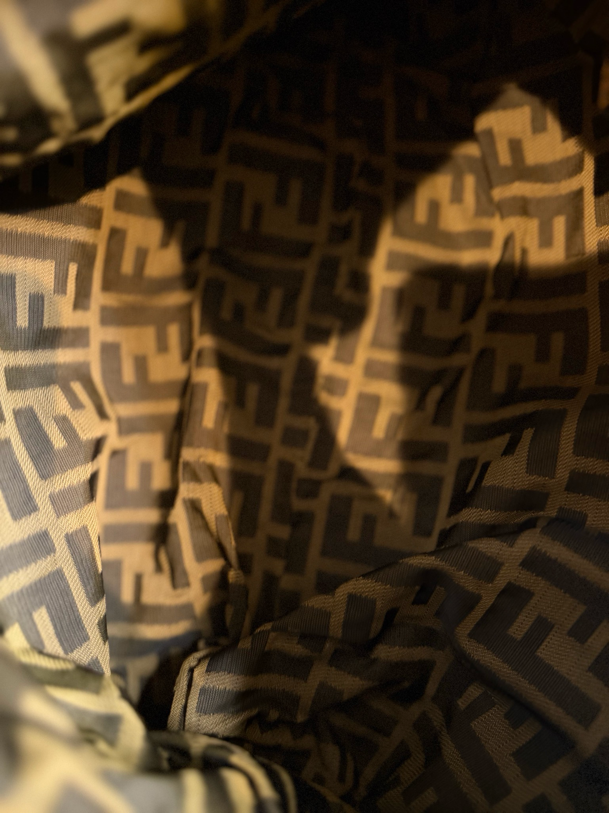 Fendi Chef Hobo Multicolor Canvas