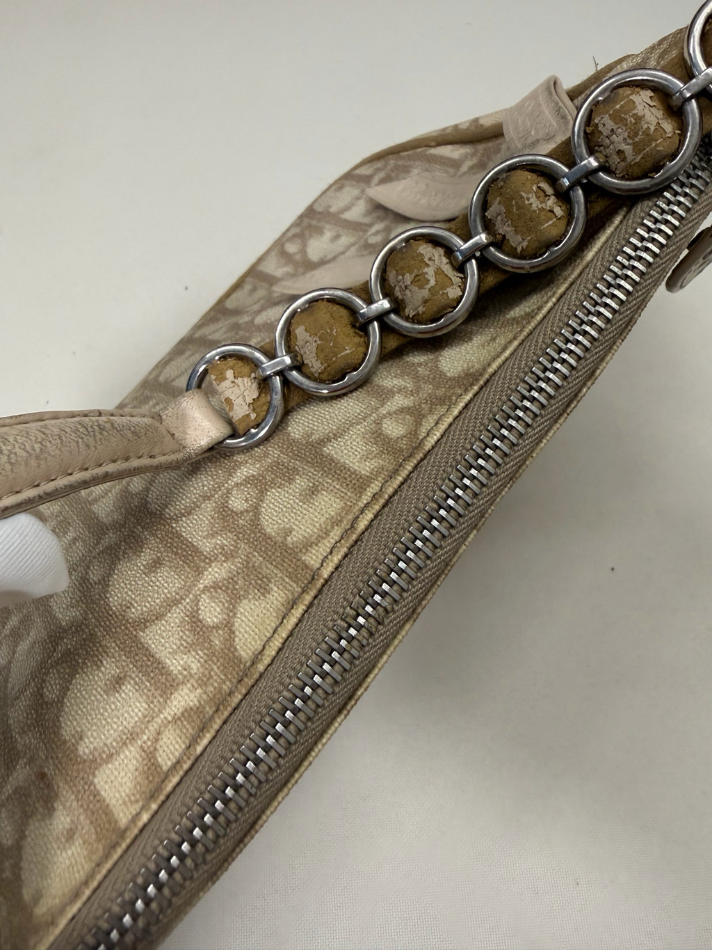 Christian Dior Romantique Trotter Pochette