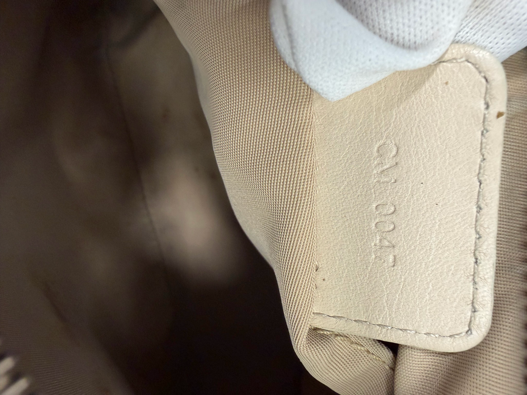 Christian Dior Romantique Trotter Pochette