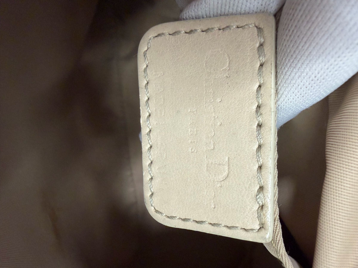 Christian Dior Romantique Trotter Pochette