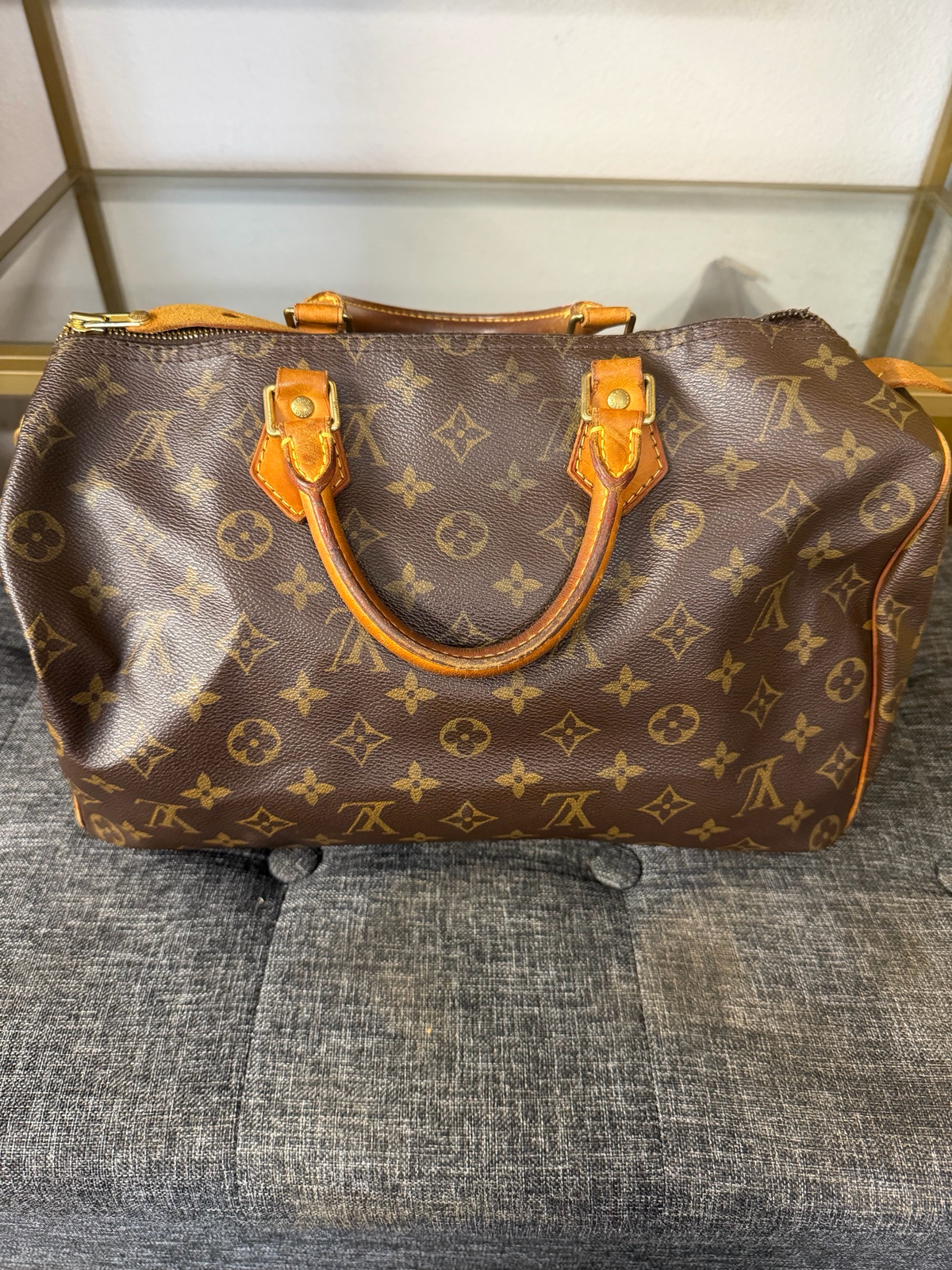 Louis Vuitton Speedy 30 Monogram Satchel Project