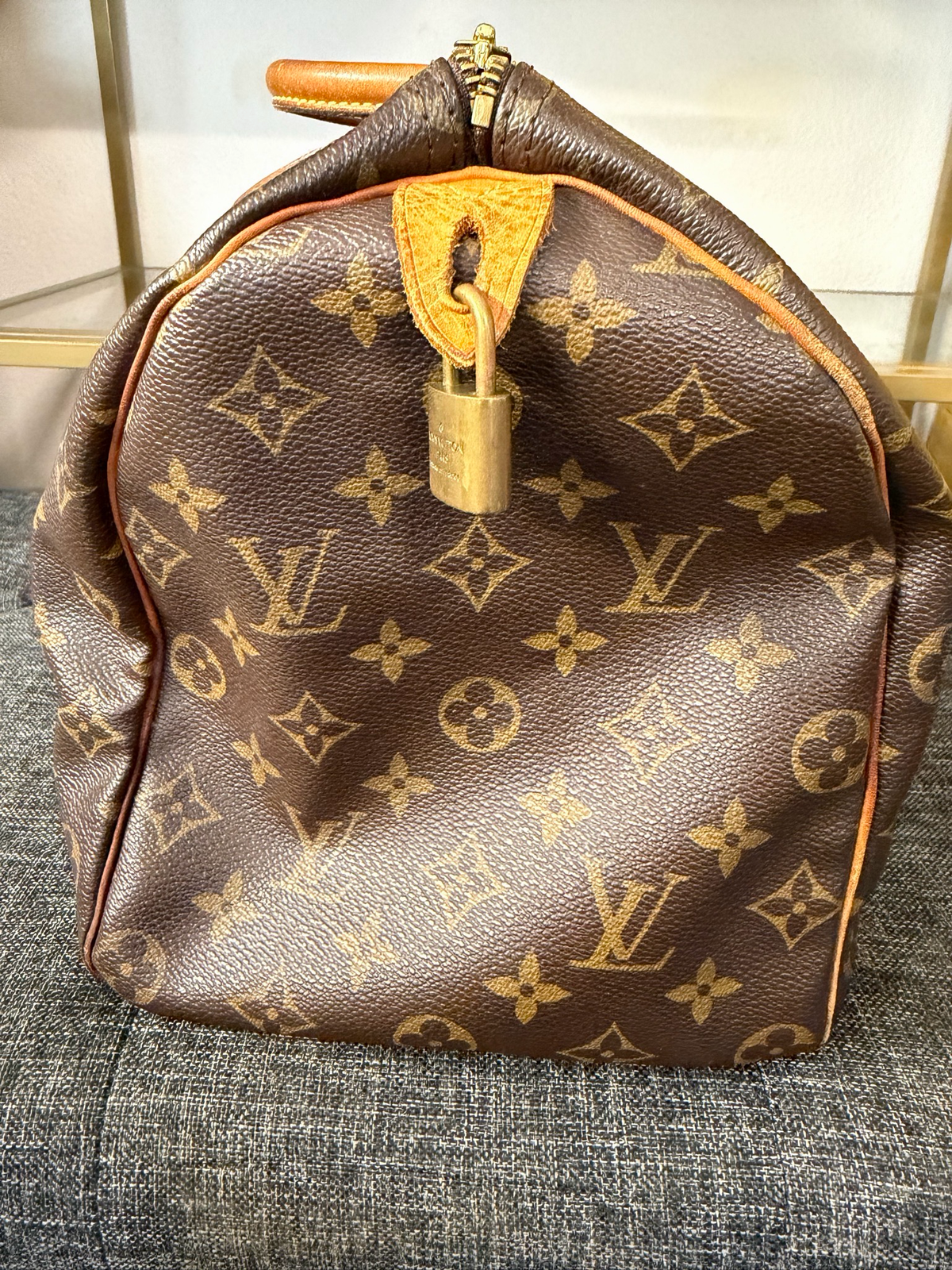 Louis Vuitton Speedy 30 Monogram Satchel Project