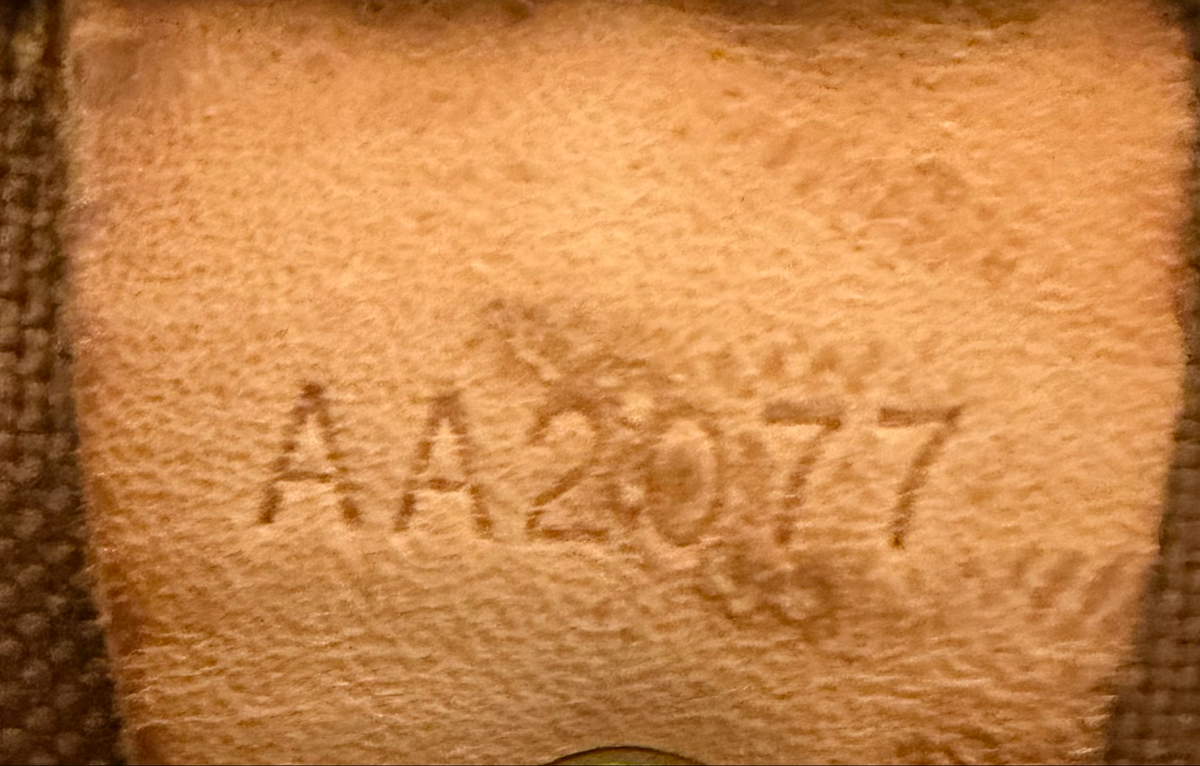 Louis Vuitton Speedy 30 Monogram Satchel Project