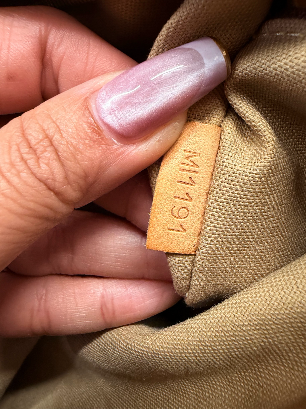 Louis Vuitton Monogram Delightful Gm Project Hobo