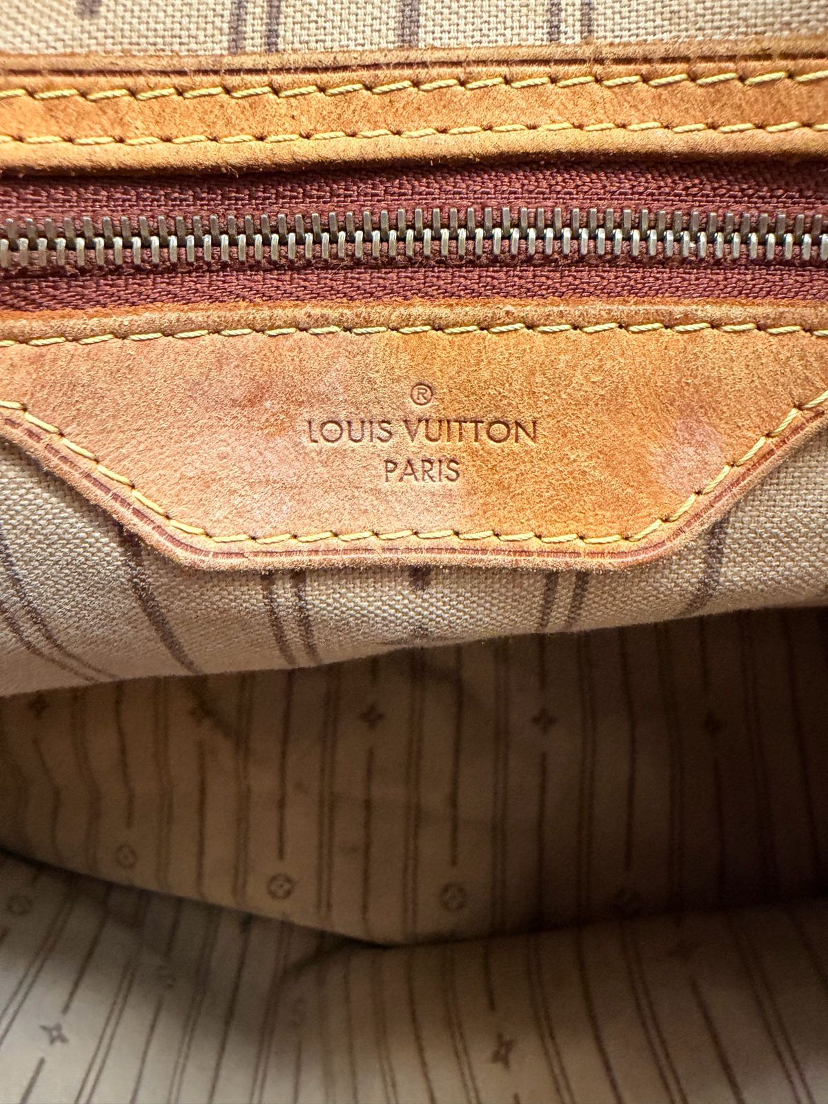 Louis Vuitton Monogram Delightful Gm Project Hobo