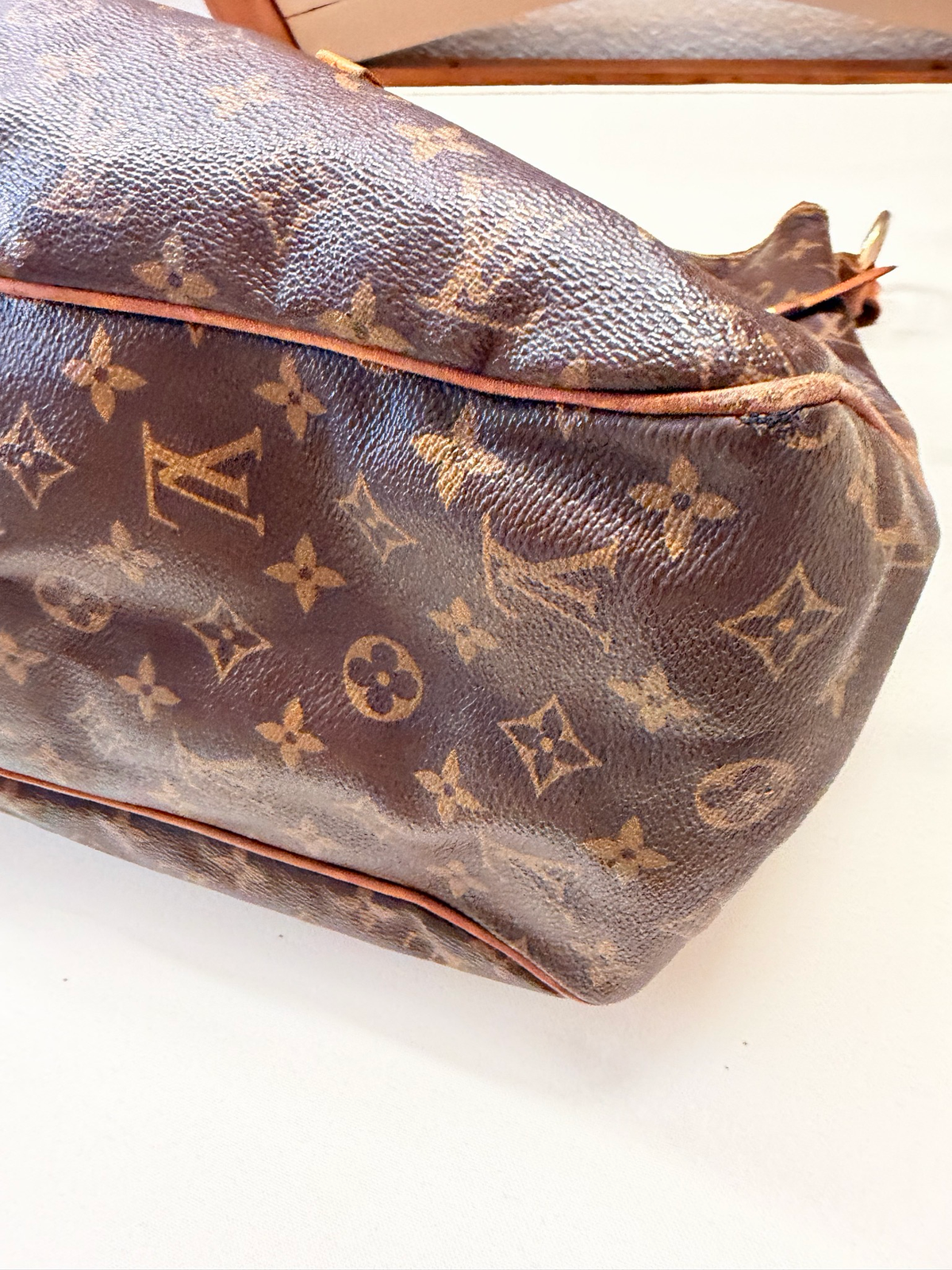 Louis Vuitton Monogram Delightful Gm Project Hobo