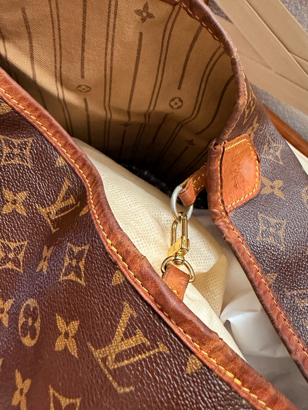 Louis Vuitton Monogram Delightful Gm Project Hobo