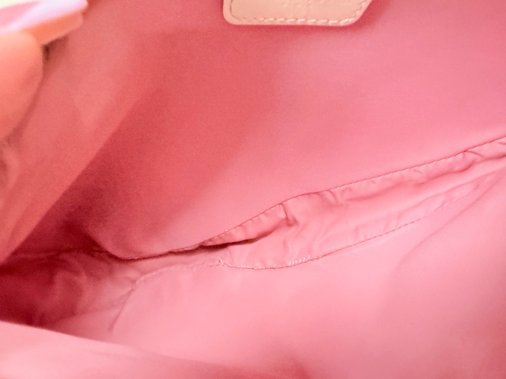Christian Dior Oblique Saddle Hobo Shoulder in Pink