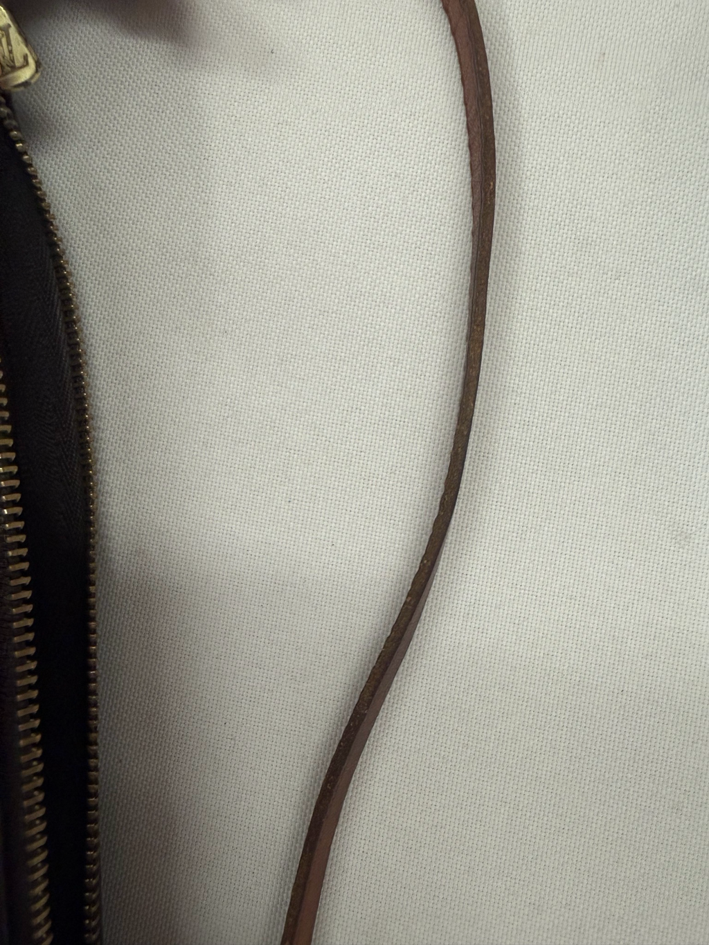 Louis Vuitton Monogram Pochette Accesories Hobo