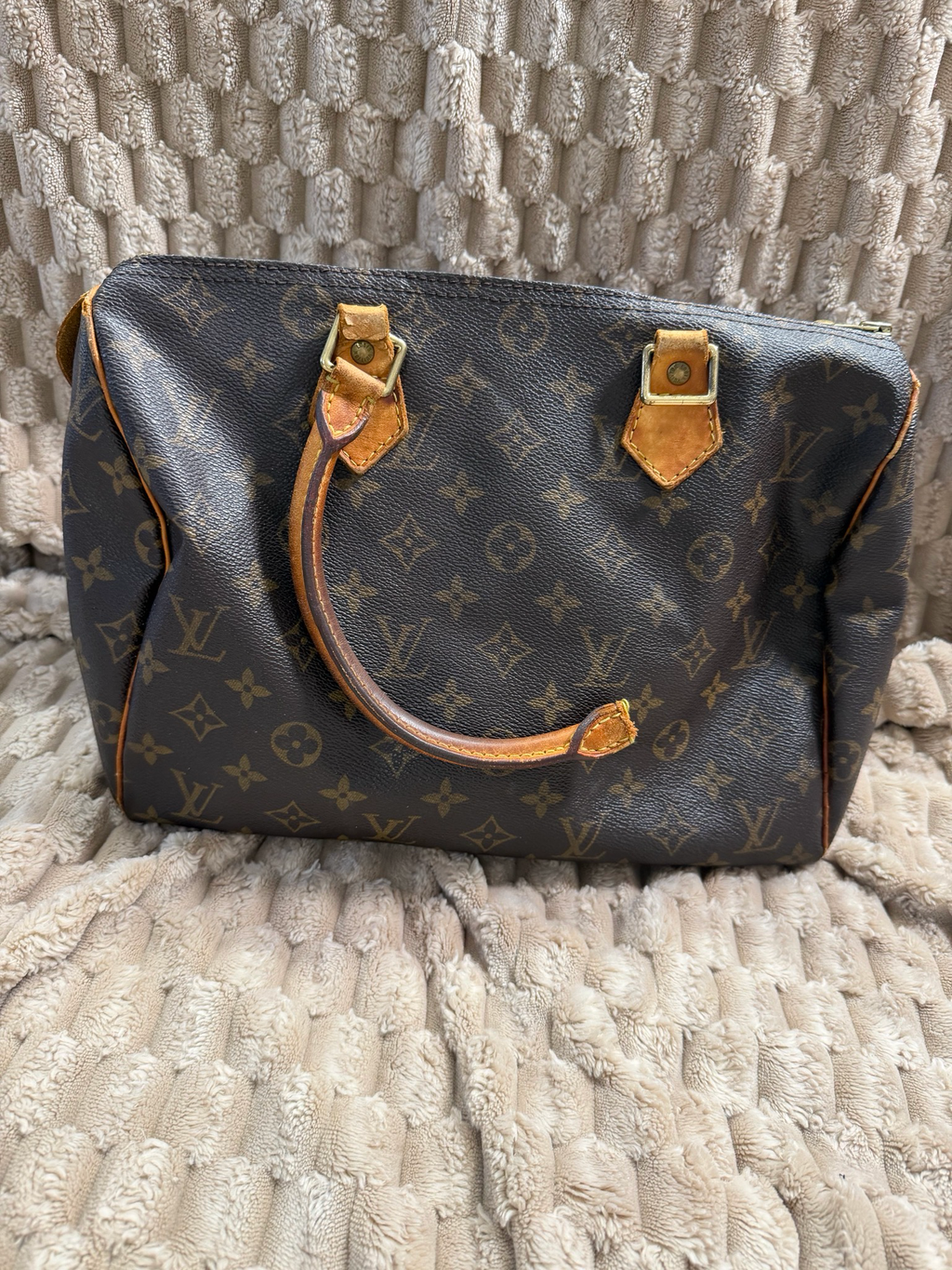 Louis Vuitton Speedy Monogram 30 Project