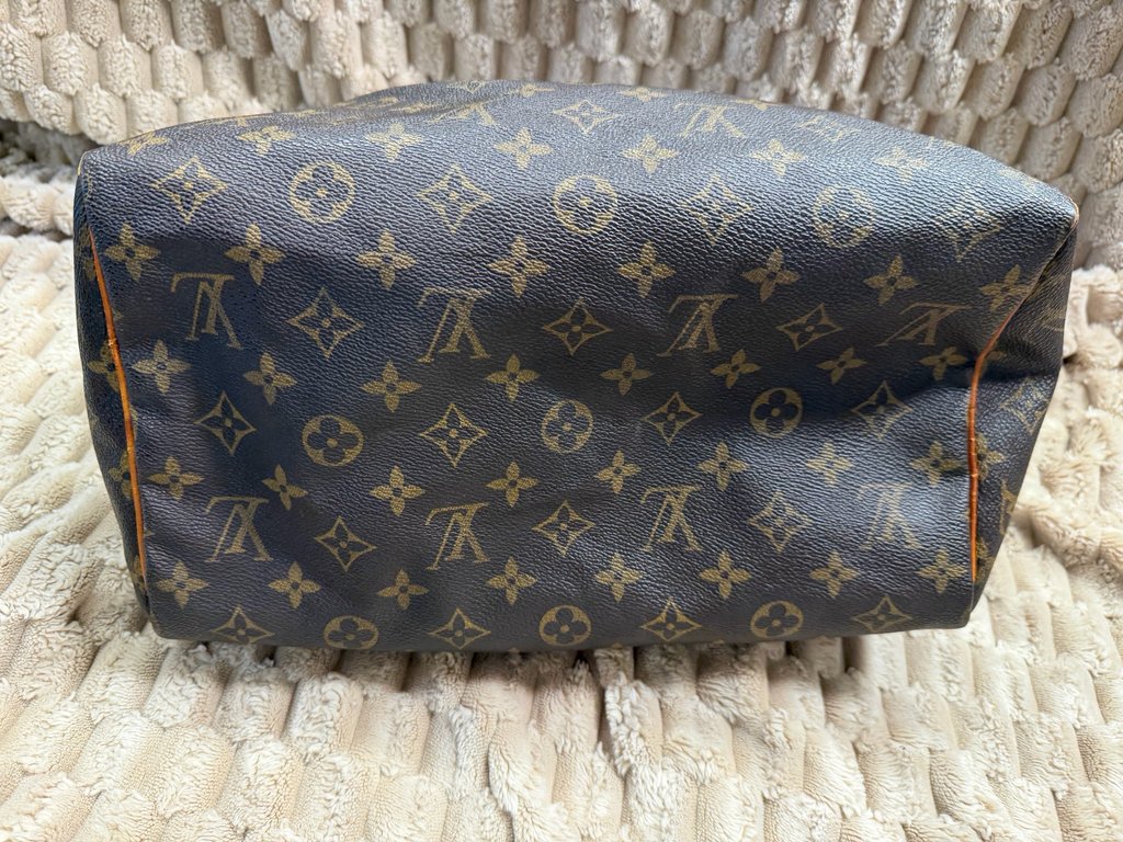 Louis Vuitton Speedy Monogram 30 Project
