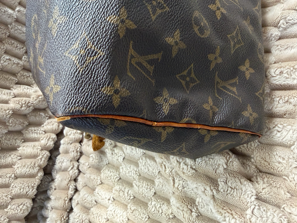 Louis Vuitton Speedy Monogram 30 Project
