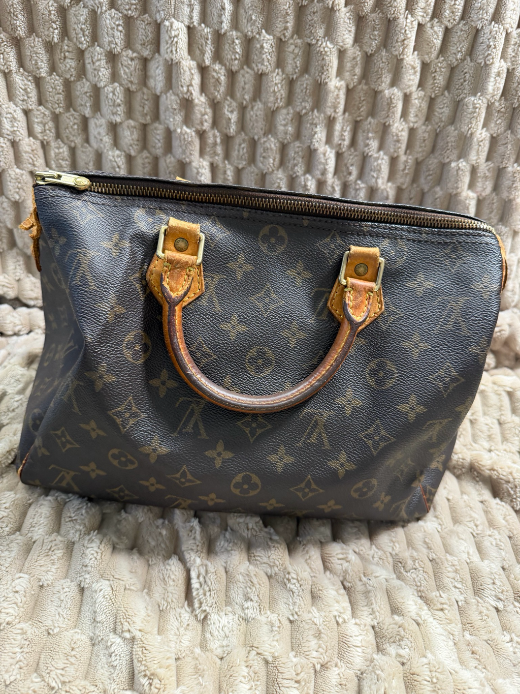 Louis Vuitton Speedy Monogram 30 Project