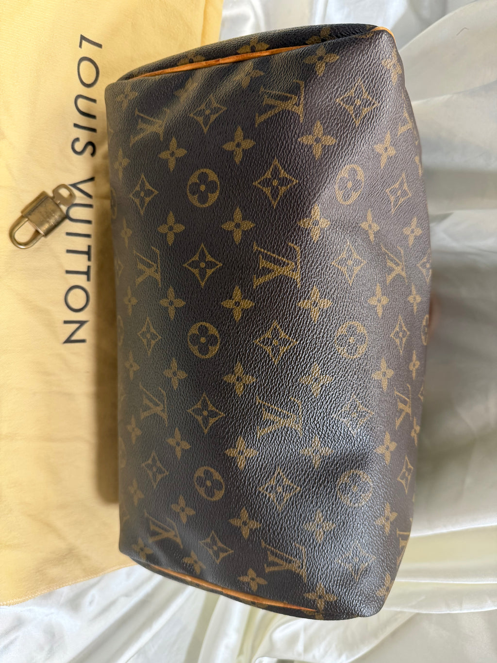 Louis Vuitton Speedy Monogram 30 Satchel Boston Bowler