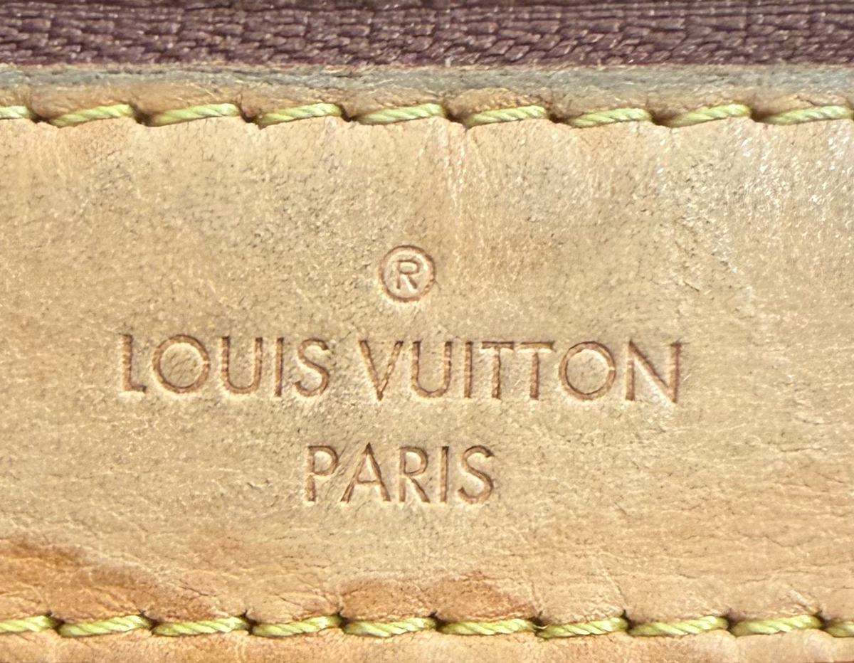 Louis Vuitton Monogram Delightful Mm Hobo Shoulder Bag