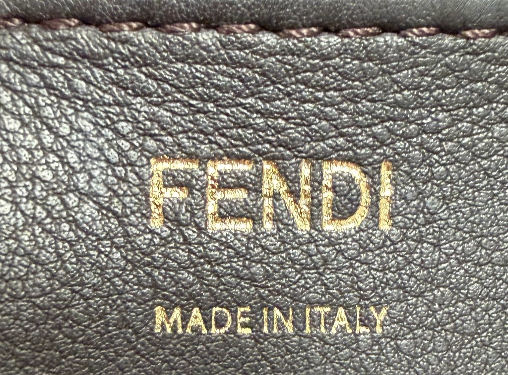 Fendi Vitello Century Camera Case Crossbody Bag