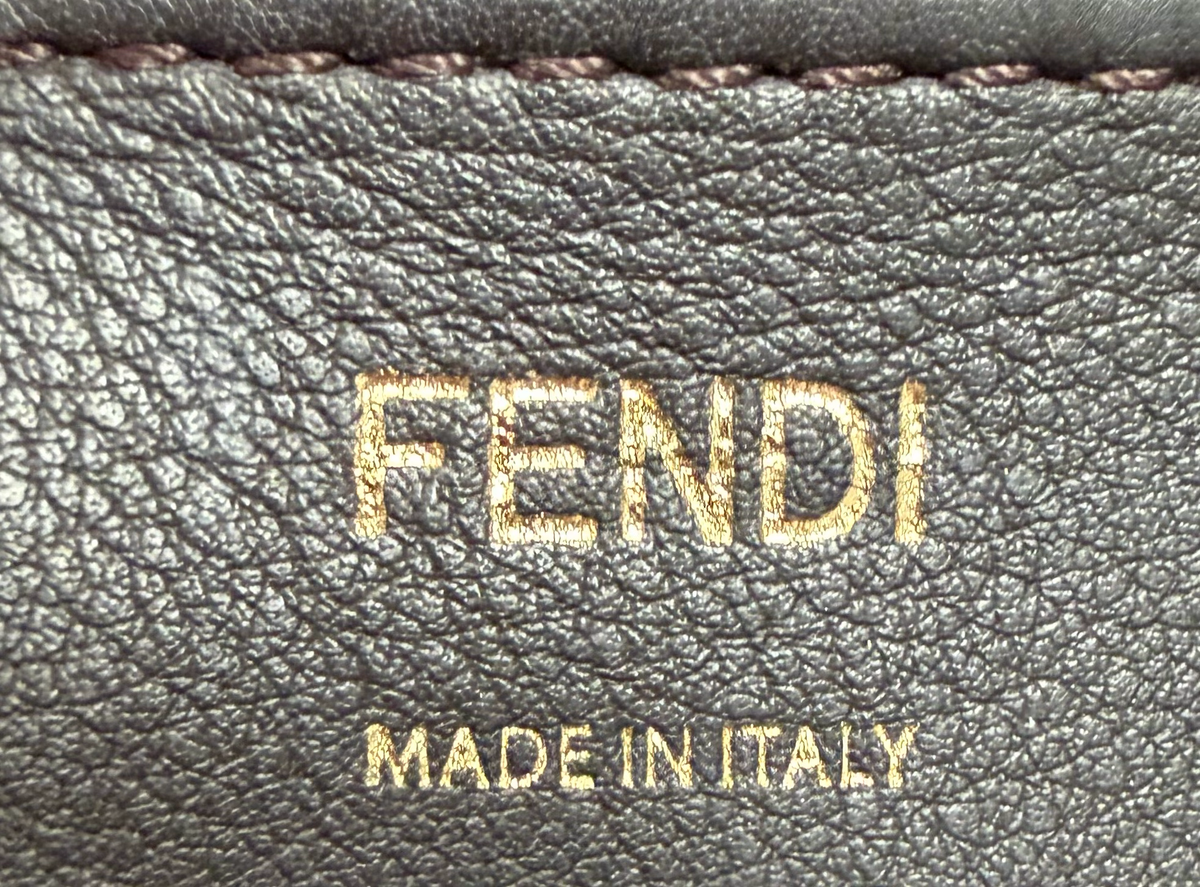 Fendi Vitello Century Camera Case Crossbody Bag