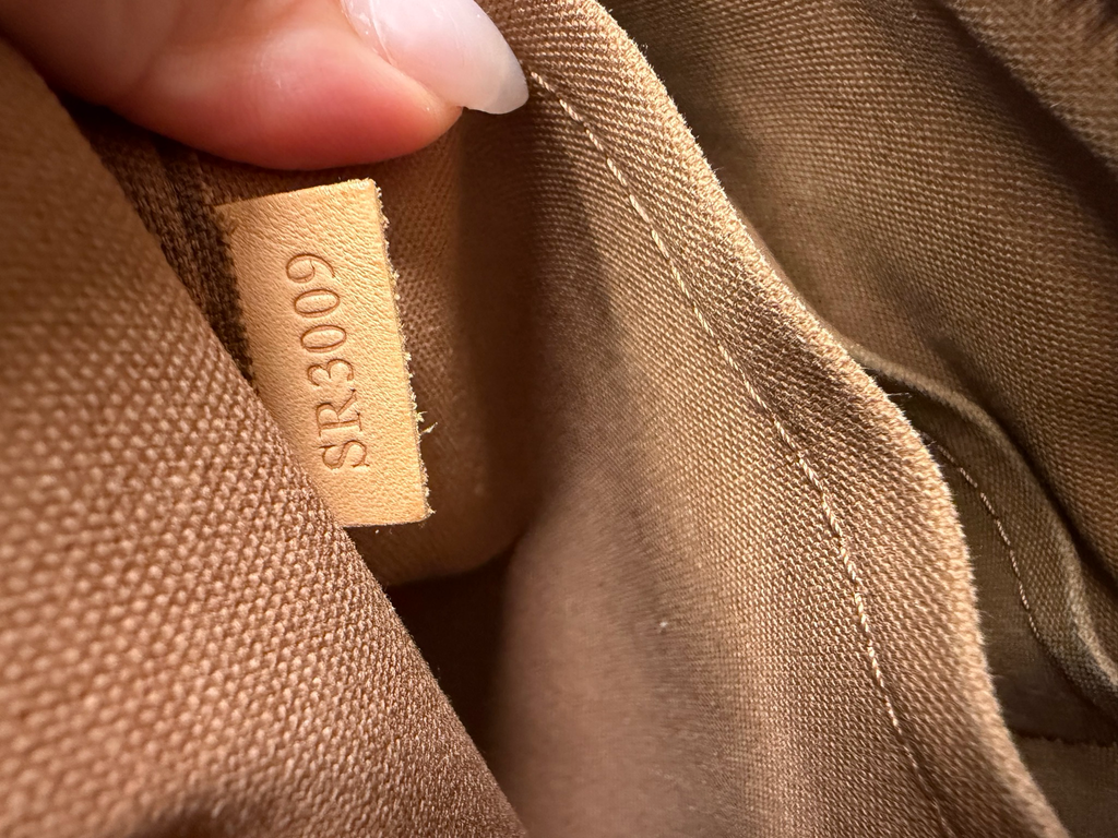 Louis Vuitton Monogram Palermo Pm