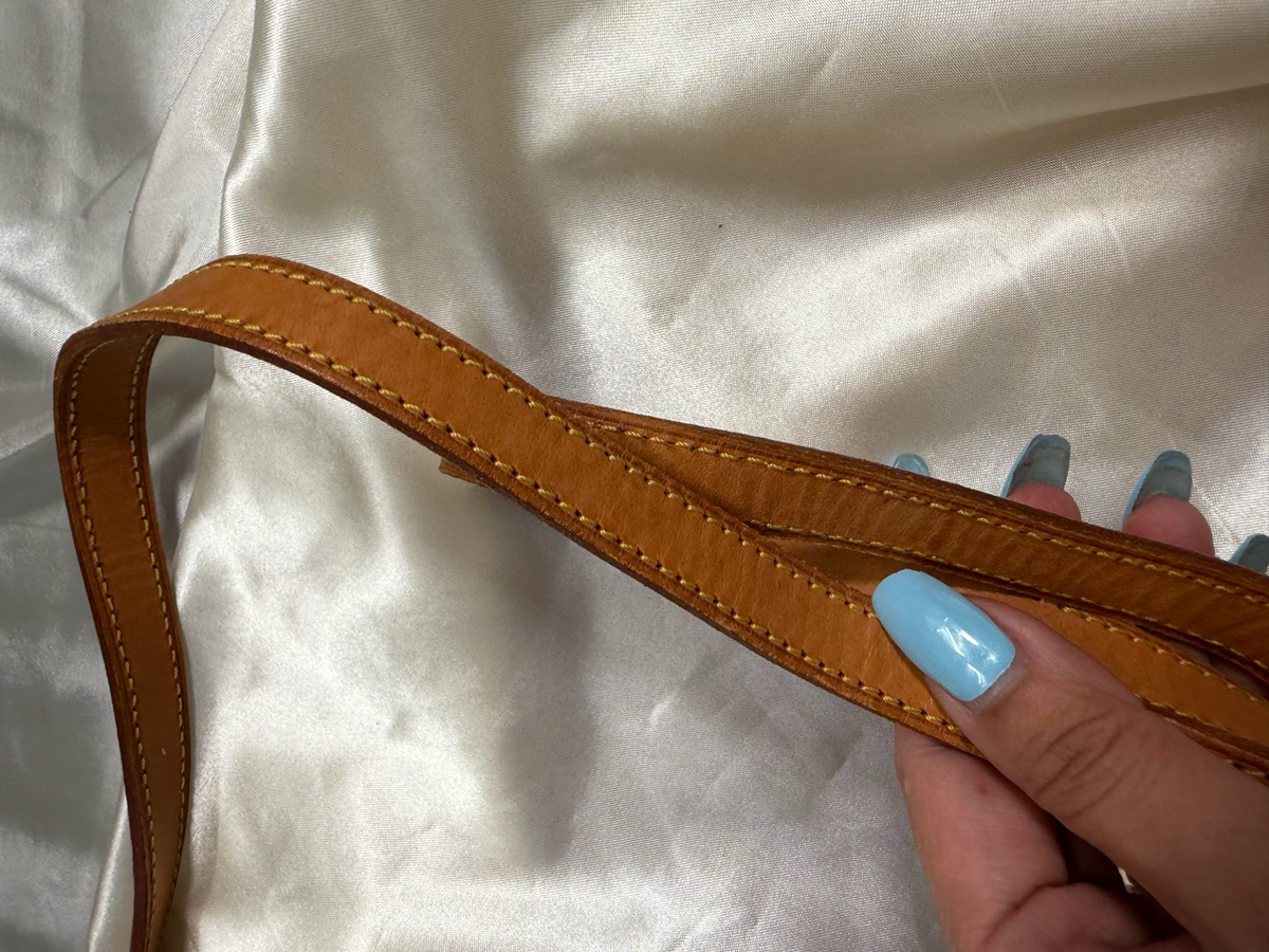 Louis Vuitton Monogram Thames Pm Crossbody